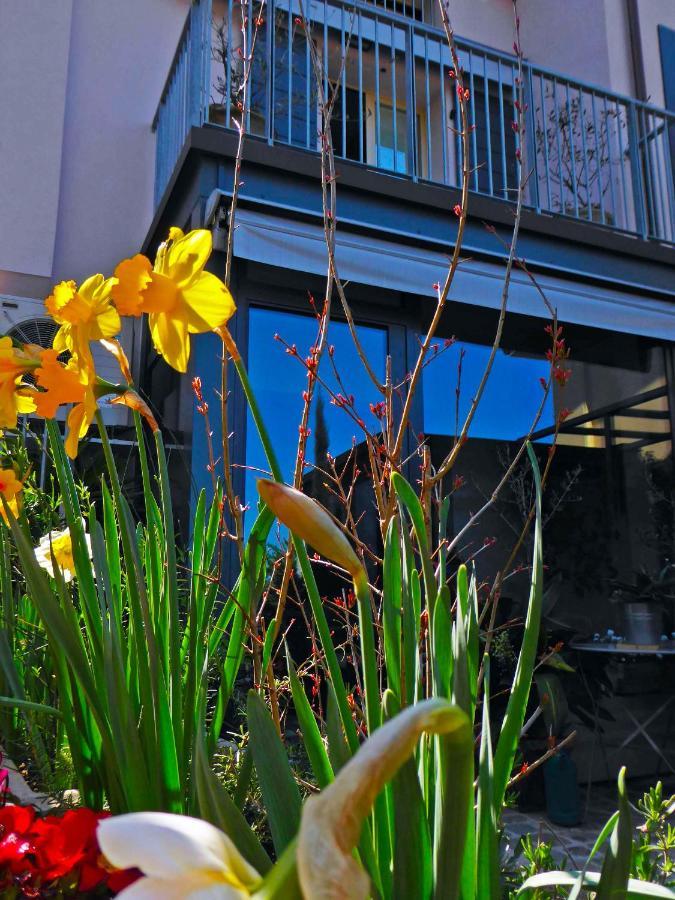 Fiorenzuola Bed & Breakfast Fiorenzuola di Focara Dış mekan fotoğraf